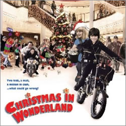 Christmas in Wonderland (2007)