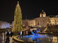 2024: Trafalgar Square (2)