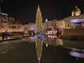 2024: Trafalgar Square (3)